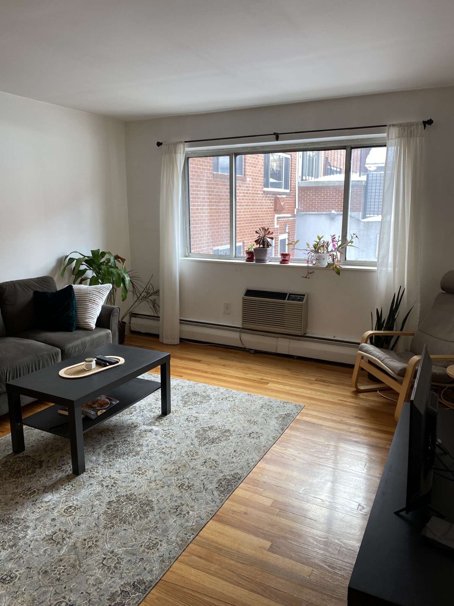 245 Kelton St, Brighton