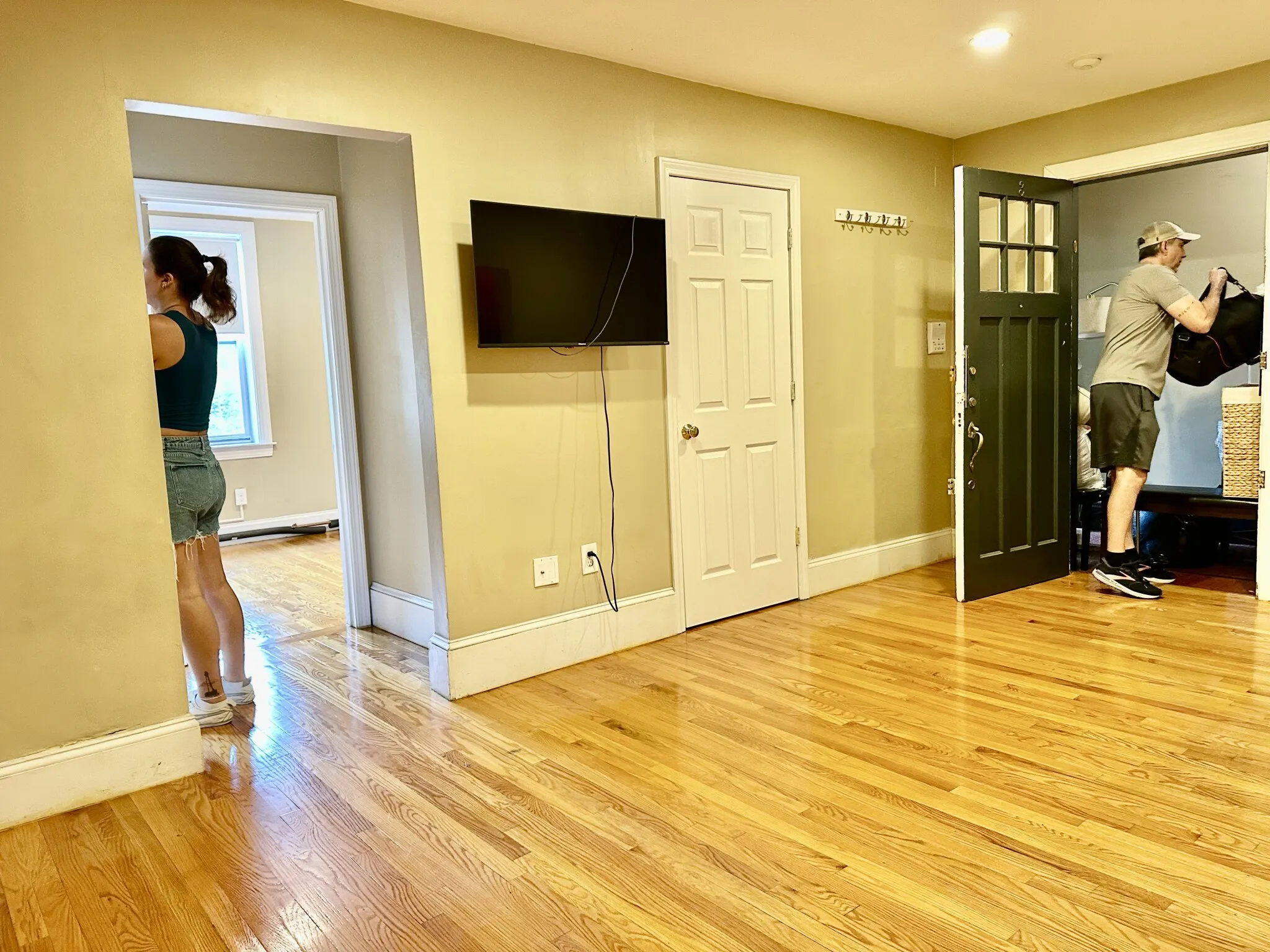 66 Egmont St, North Brookline