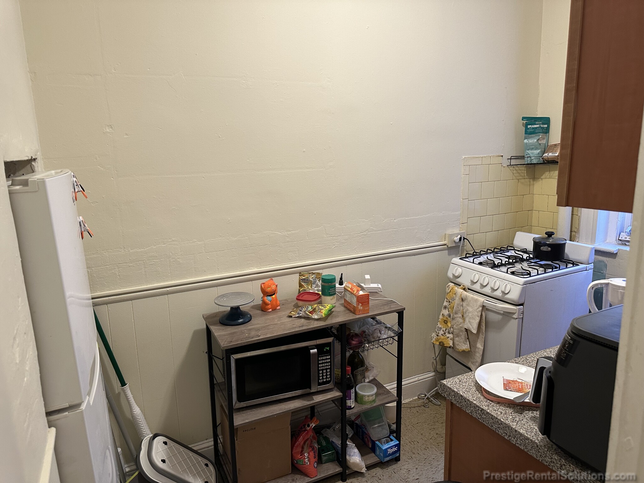 217 Kelton St, Brighton