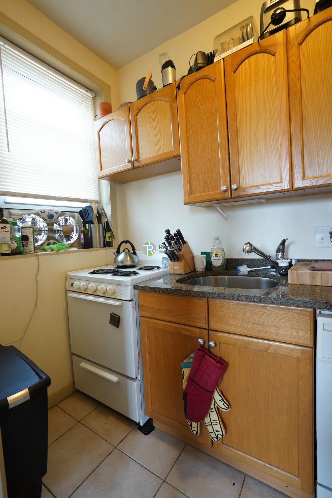 56 Brighton Ave, Brighton