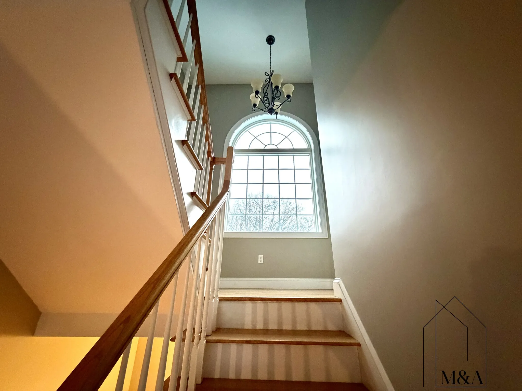 46B Dominion Rd, Booth Apartments Area