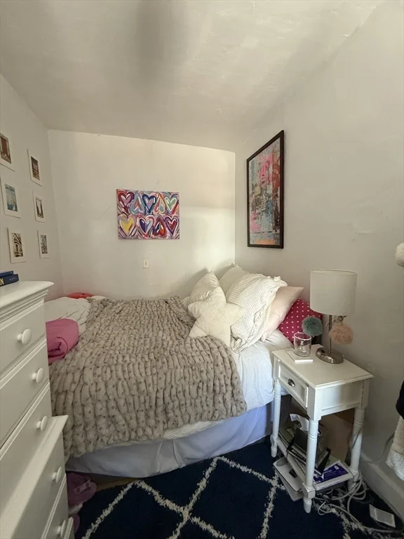 234 W Canton, South End