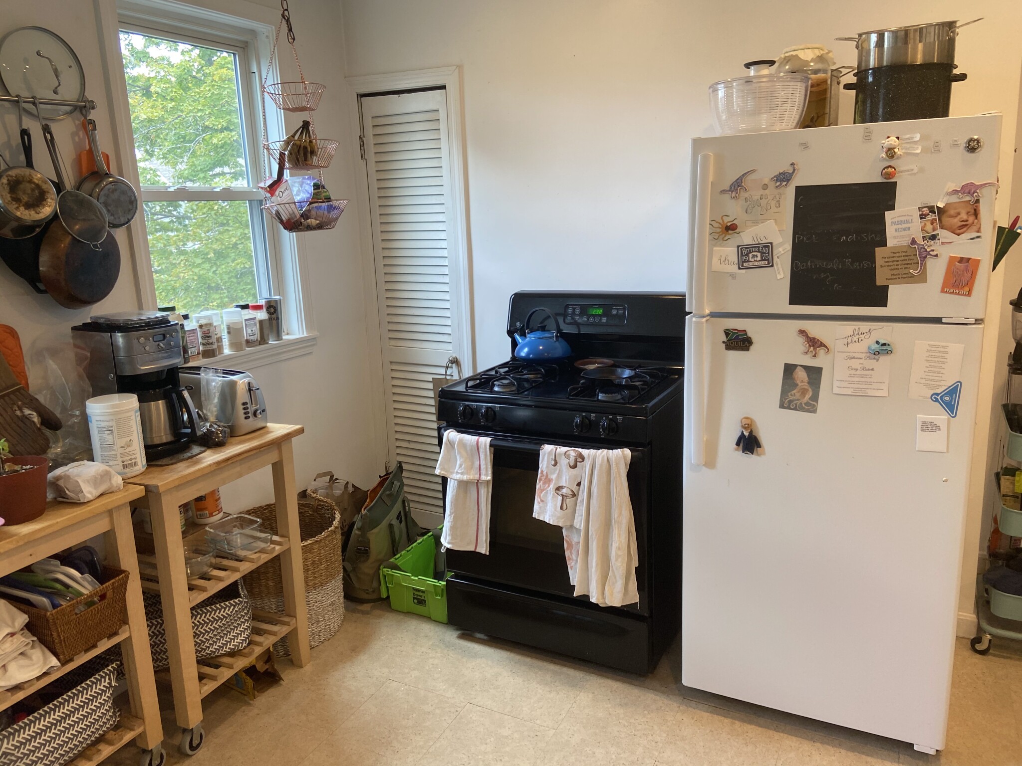 16 Montgomery St, North Cambridge