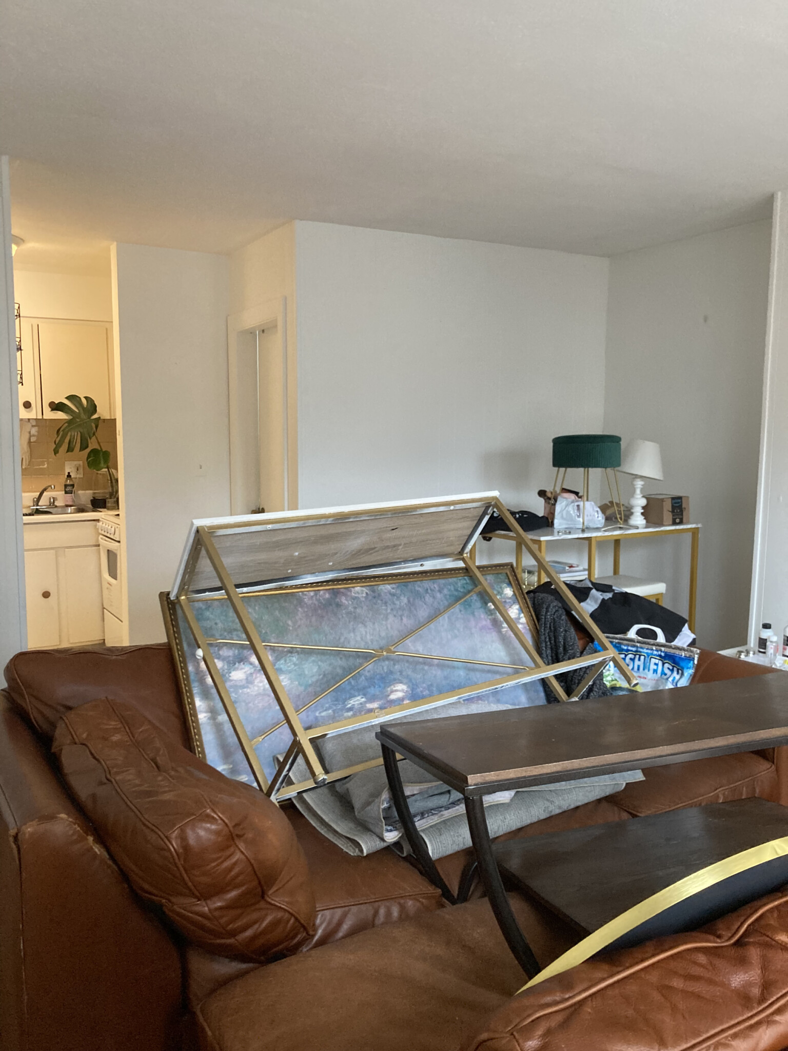 7 Aberdeen St, Fenway