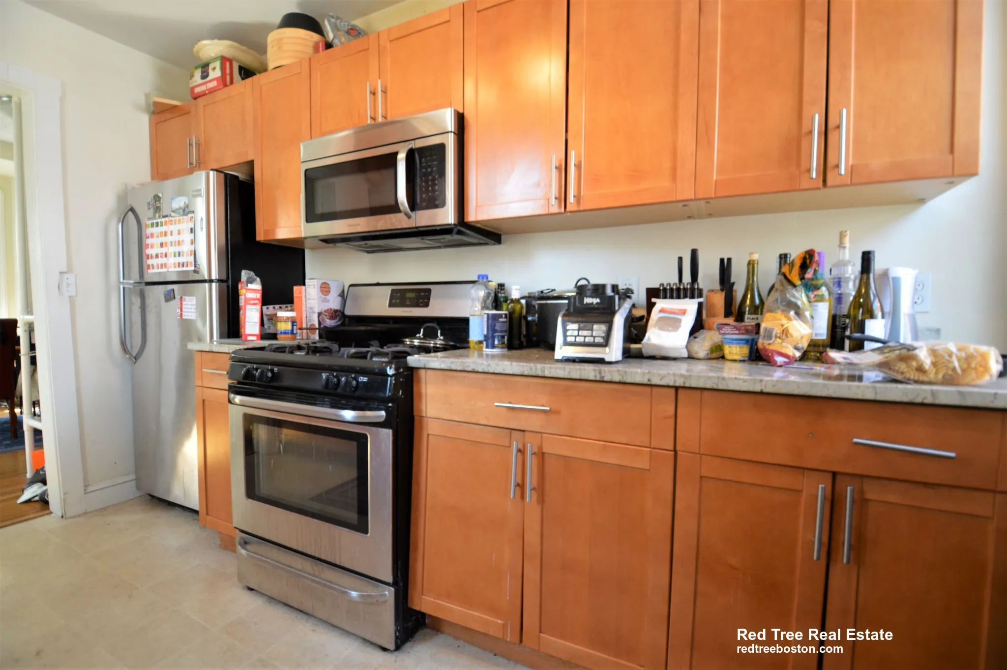 5 Murdock Ter, Brighton