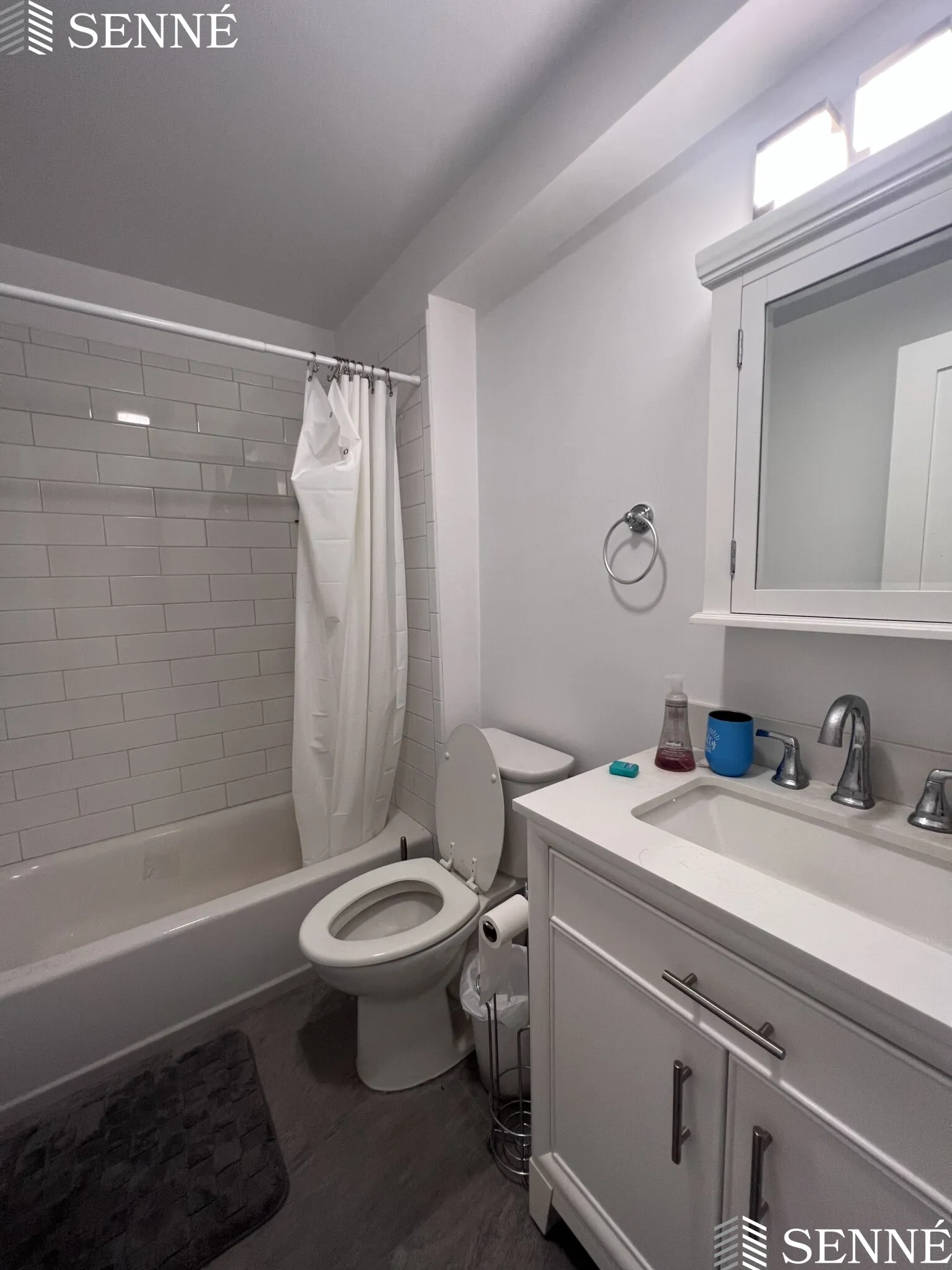 3 Linnaean St, Neighborhood Nine