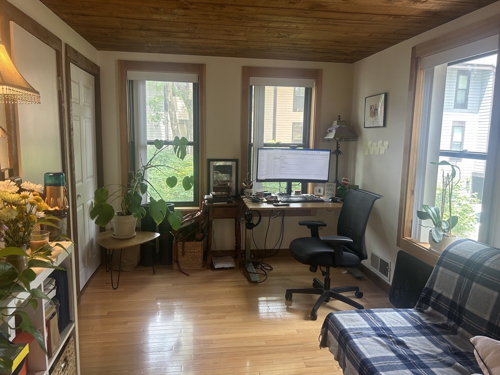 11 Lilac, Wellington-Harrington