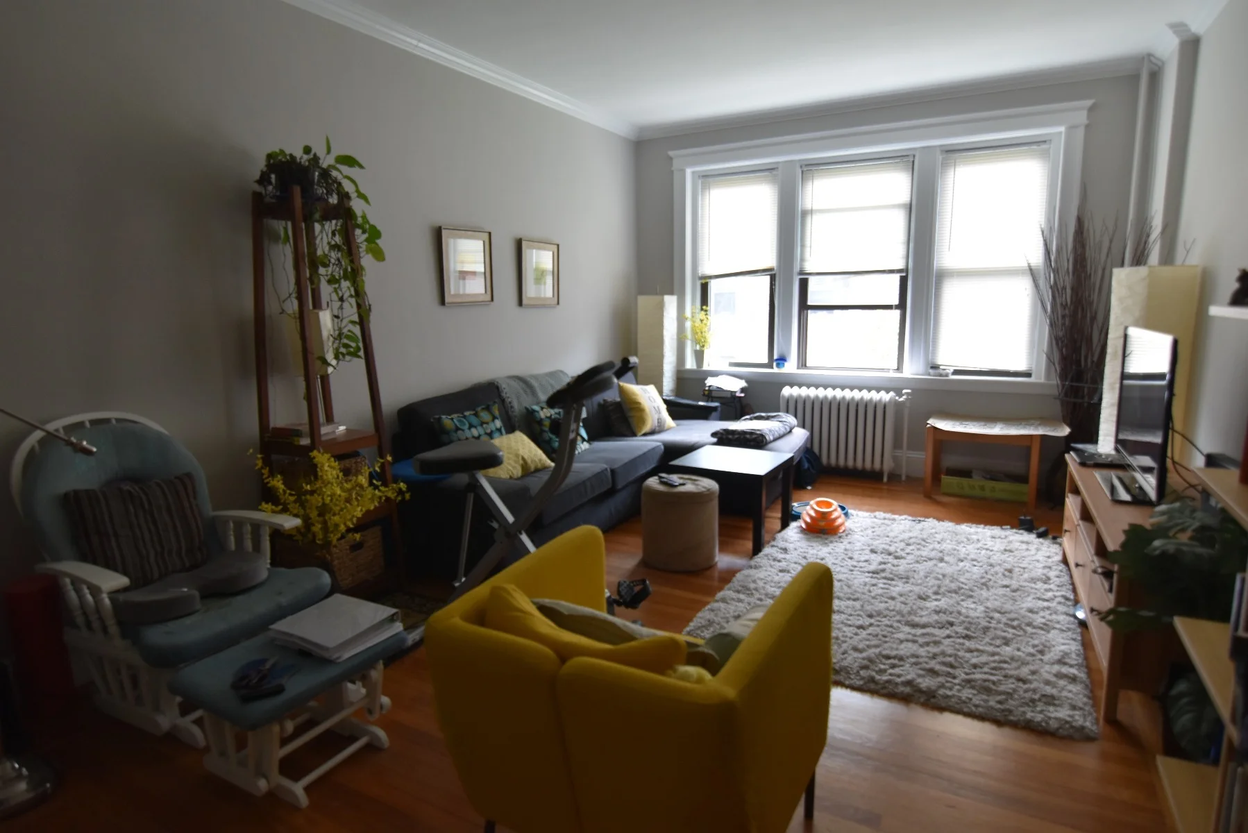 9 Greenway Ct, Coolidge Corner