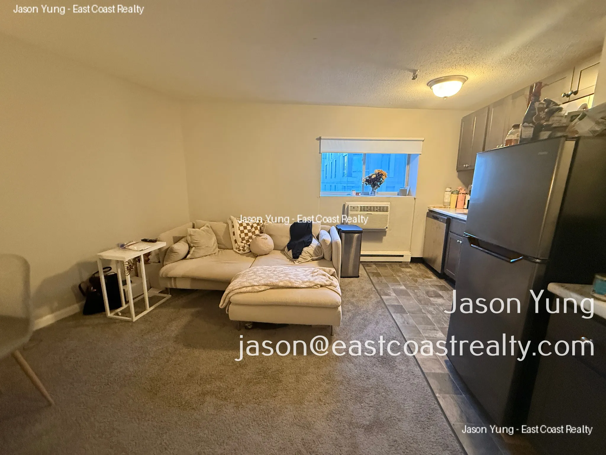 231 Harrison Ave, Chinatown