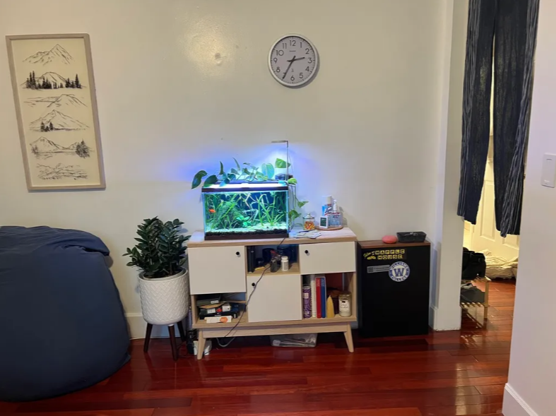 103 Sciarappa St, East Cambridge