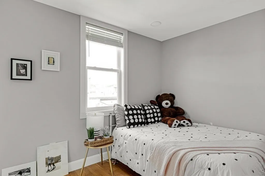 19 Plymouth St, Wellington-Harrington