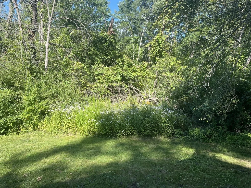 16 Foster Rd, Lexington