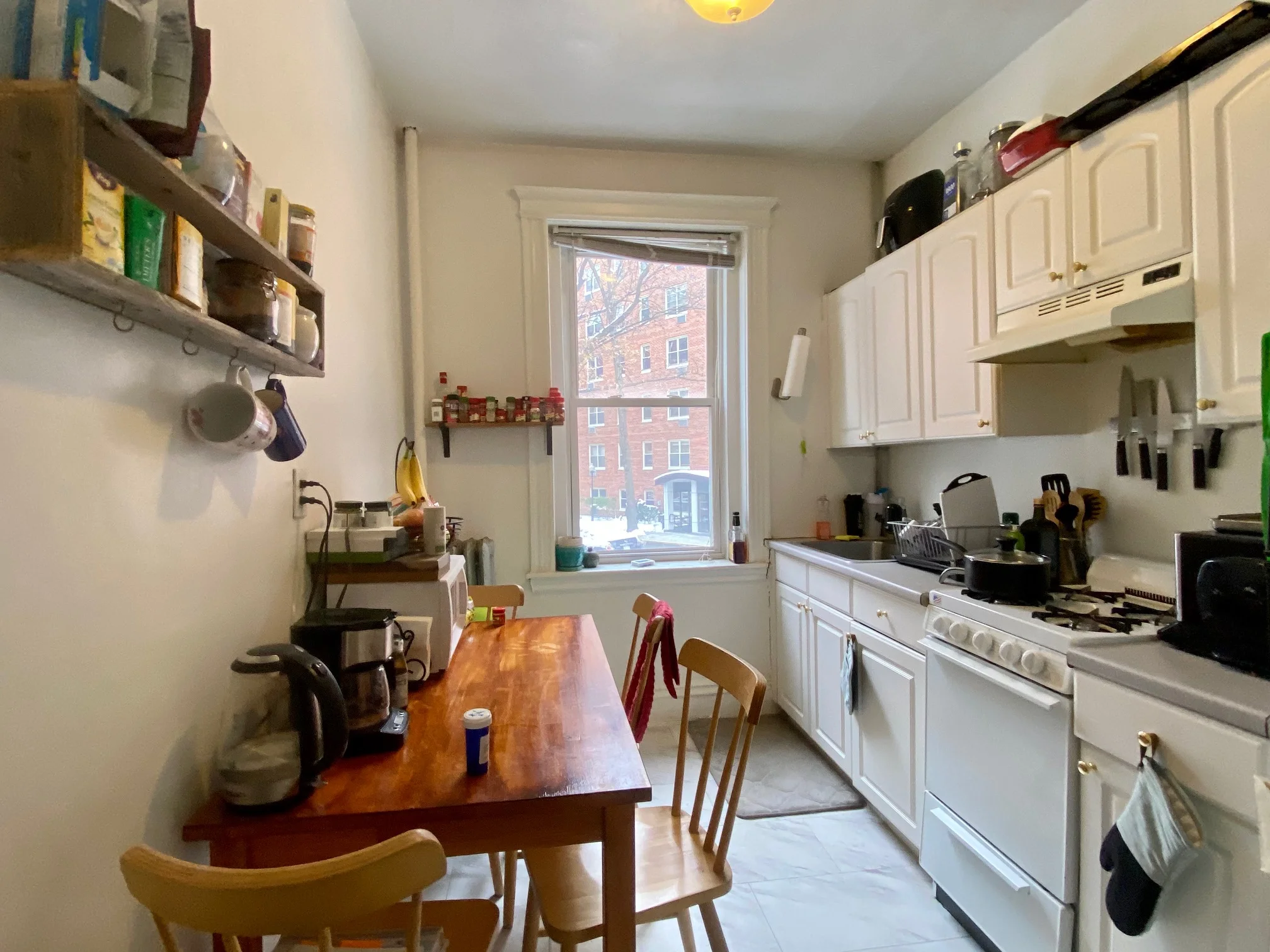 6 Camelot Ct, Brighton