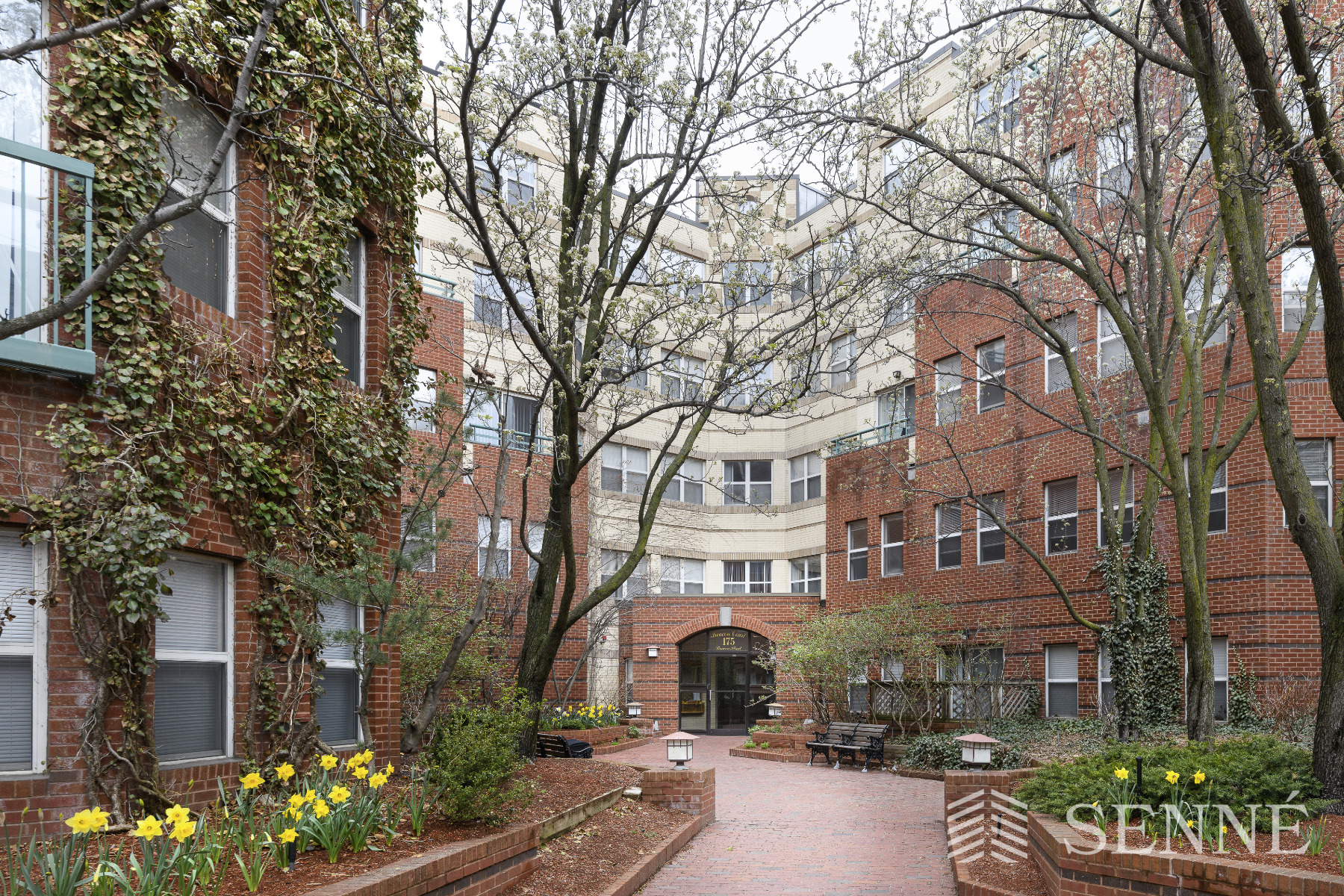 2 bed, 2 bath apartment for rent at 175 Beacon St Unit 402, Inman Square — photo 1 of 10