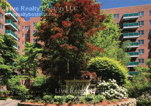 1 bed, 1 bath apartment for rent at 185 Freeman St Unit 444, Coolidge Corner — photo 7 of 13