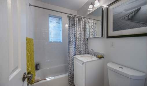 1 bed, 1 bath apartment for rent at 79 Saint Paul St Unit 6, Coolidge Corner — photo 5 of 8