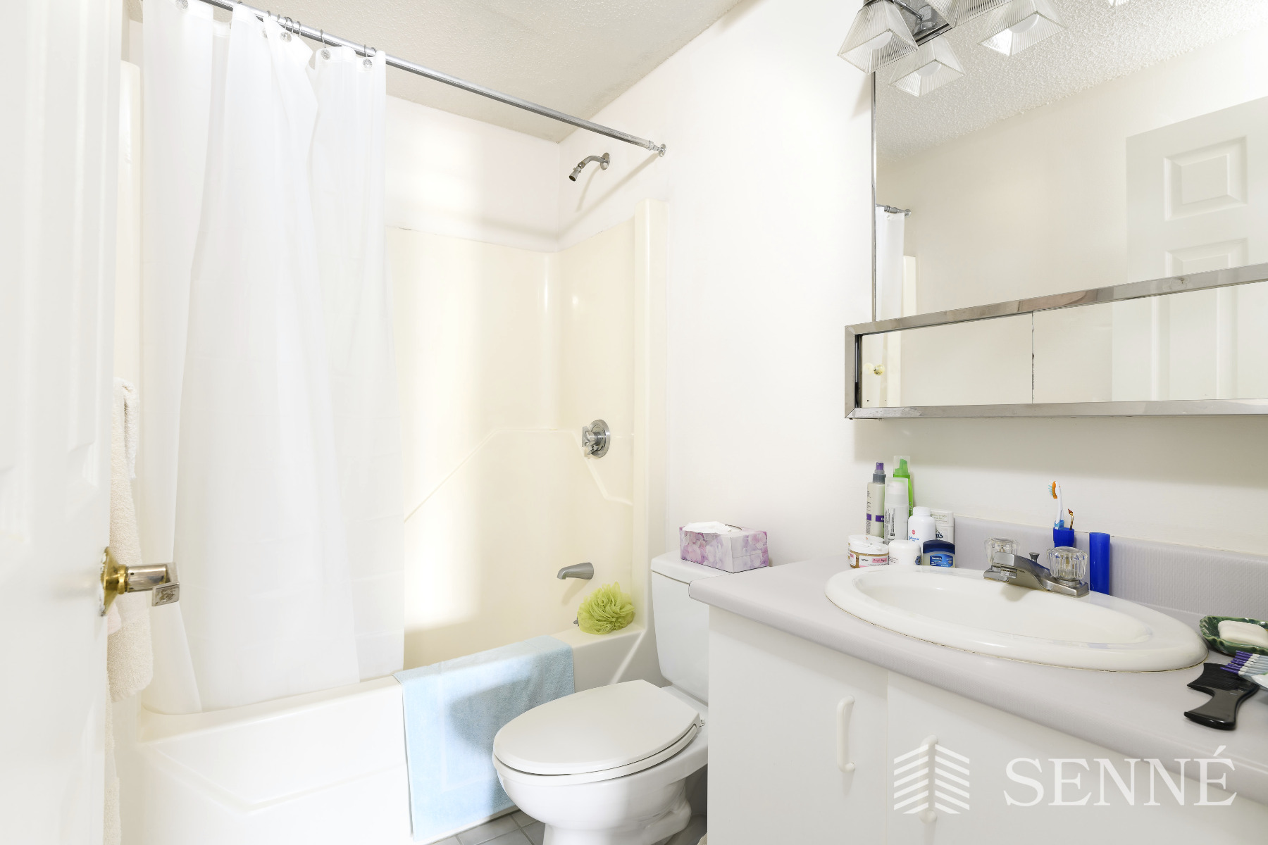 2 bed, 2 bath apartment for rent at 175 Beacon St Unit 402, Inman Square — photo 3 of 10