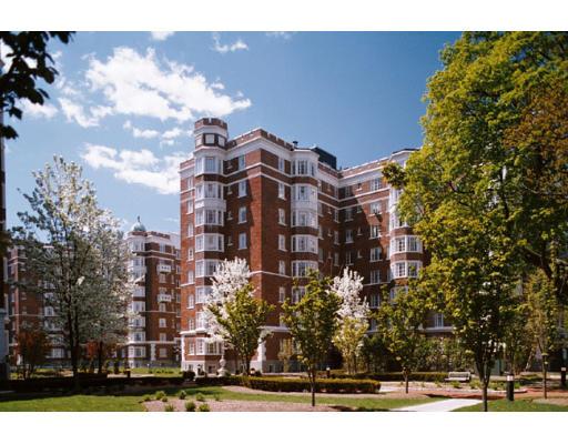 1 bed, 1 bath apartment for rent at 20 Chapel St Unit 405, Longwood — photo 2 of 12