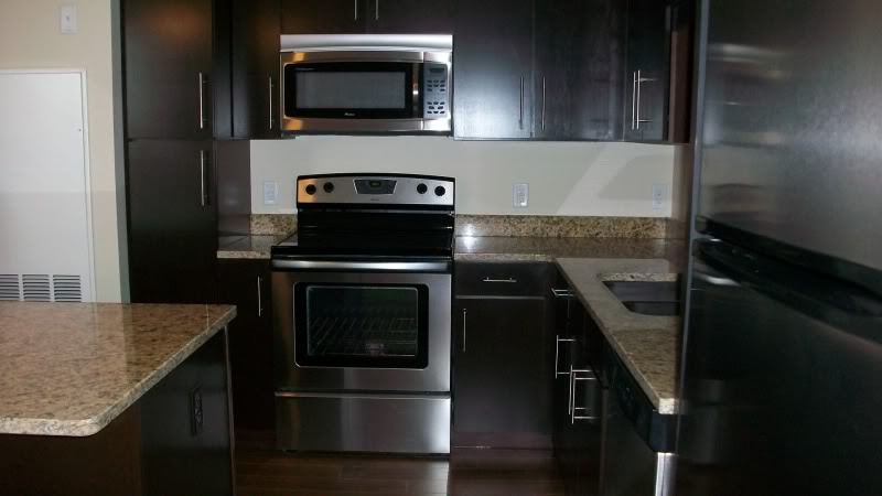 1 bed, 1 bath apartment for rent at 20 Chapel St Unit 405, Longwood — photo 3 of 12