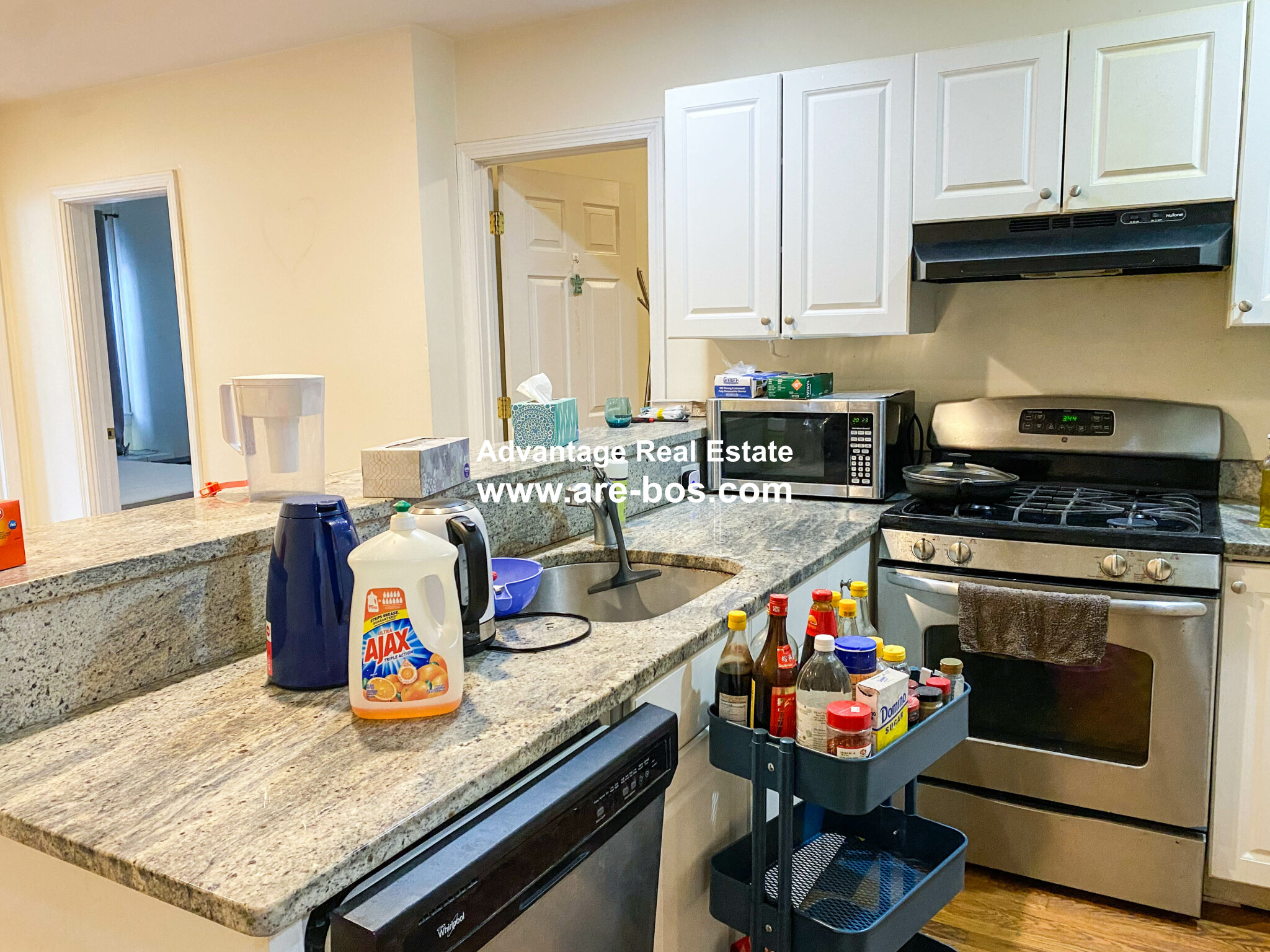 66 Egmont St, North Brookline