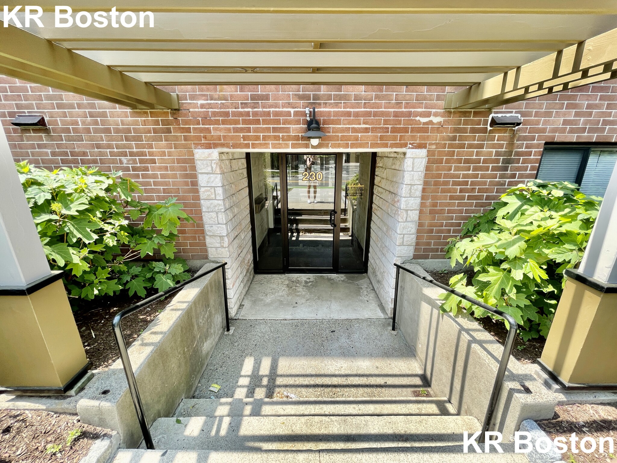 Studio bed, 1 bath apartment for rent at 231 Babcock St Unit 1F, Coolidge Corner — photo 1 of 6