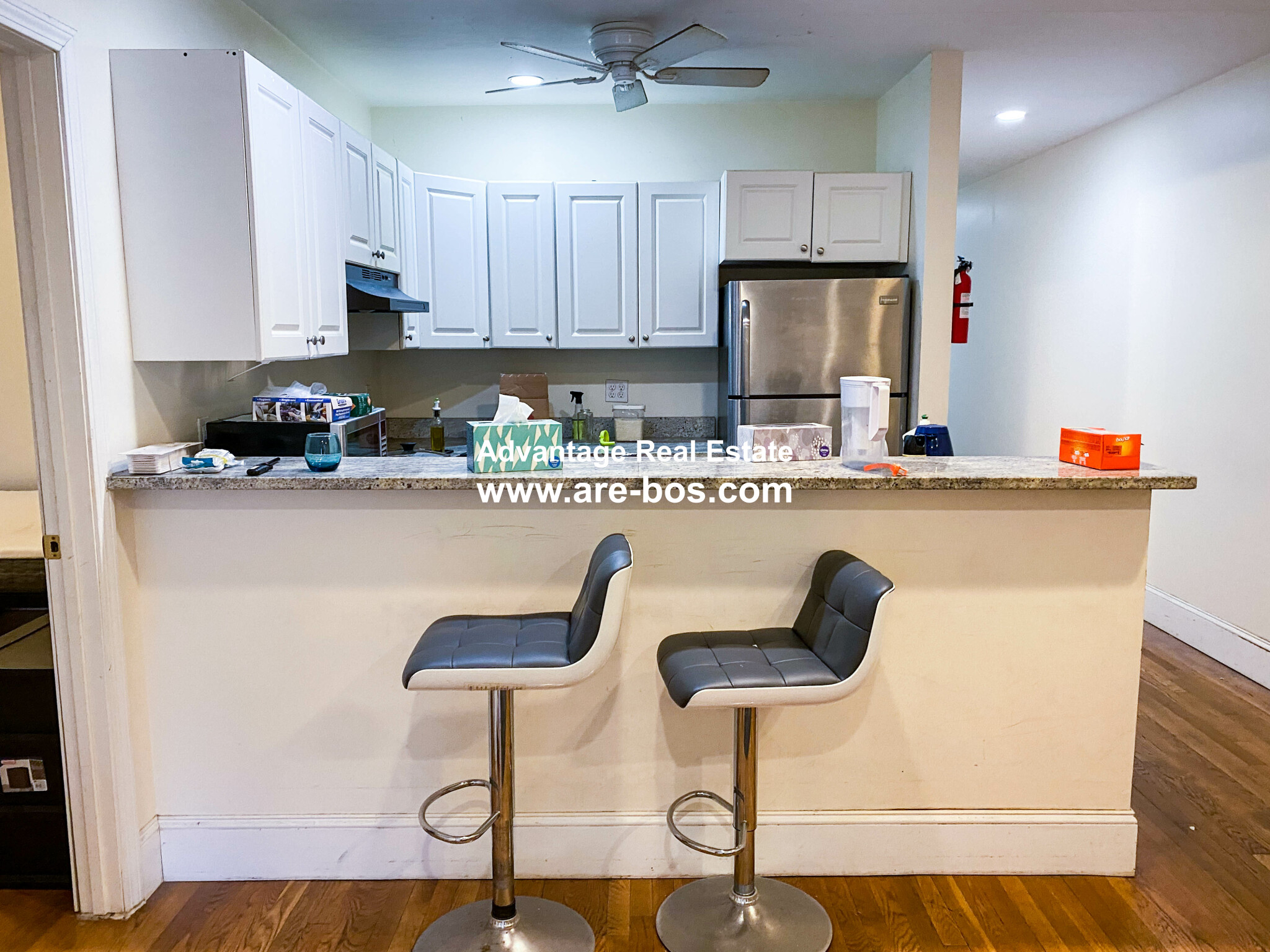 66 Egmont St, North Brookline