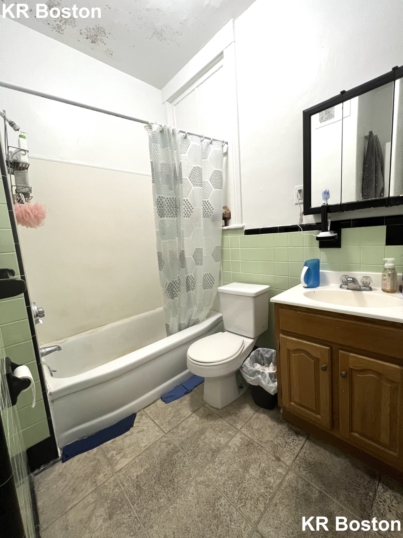 1 bed, 1 bath apartment for rent at 125 Allston St Unit 0, Allston — photo 4 of 7