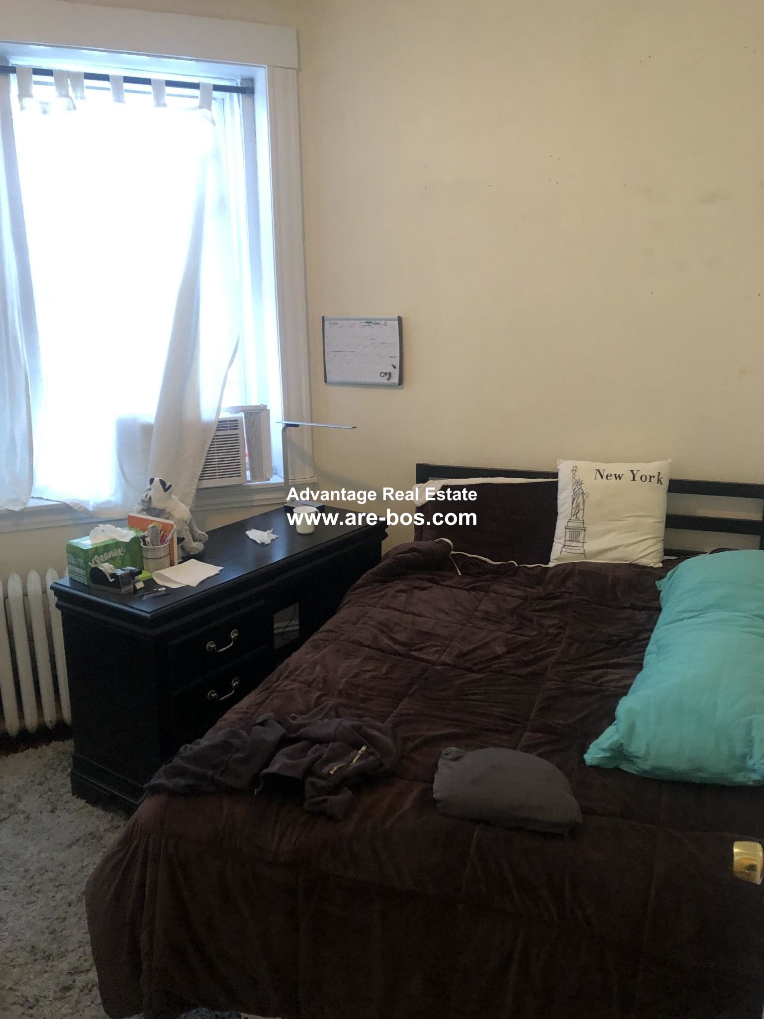 66 Egmont St, North Brookline