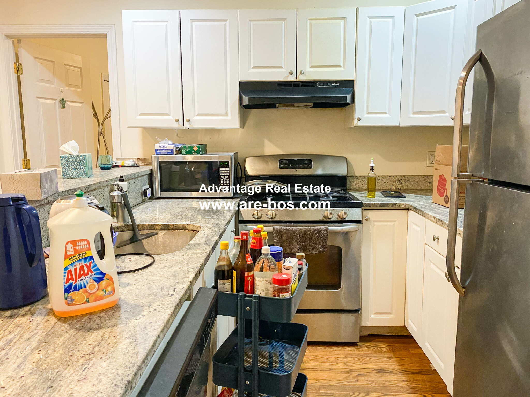 66 Egmont St, North Brookline