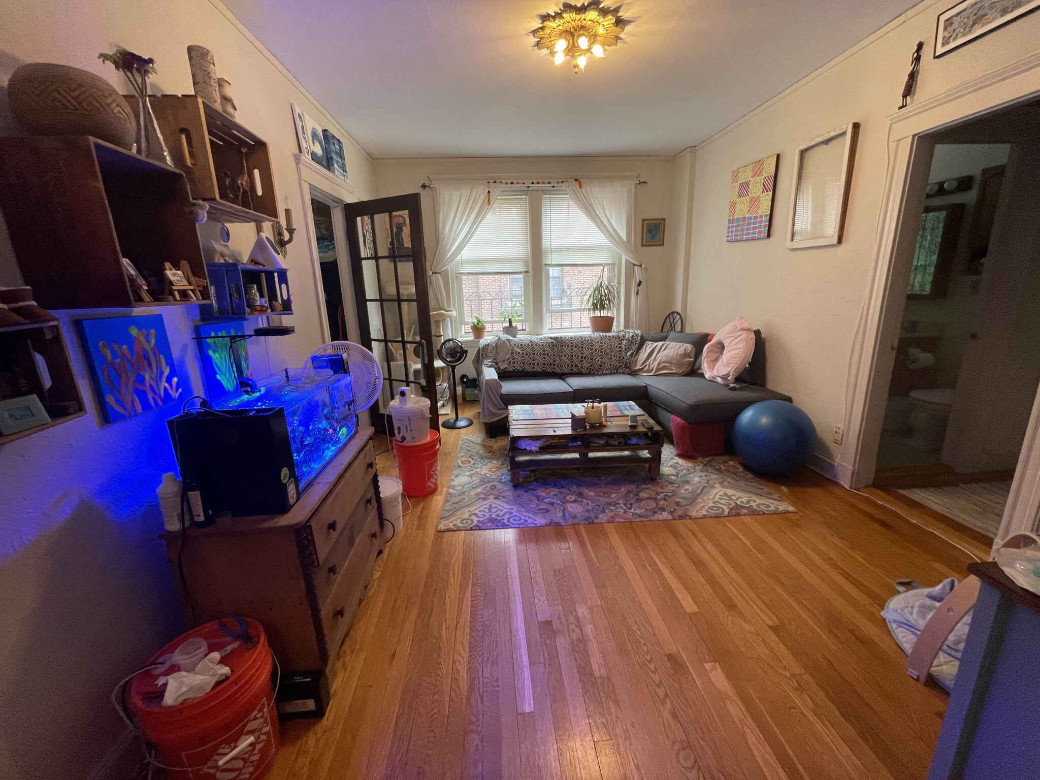 1 bed, 1 bath apartment for rent at 1949 Commonwealth Ave Unit 42, Brighton — photo 9 of 11