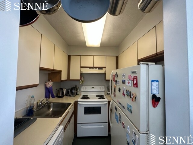 2 bed, 1 bath apartment for rent at 483 East Broadway Unit 7, South Boston — photo 12 of 24