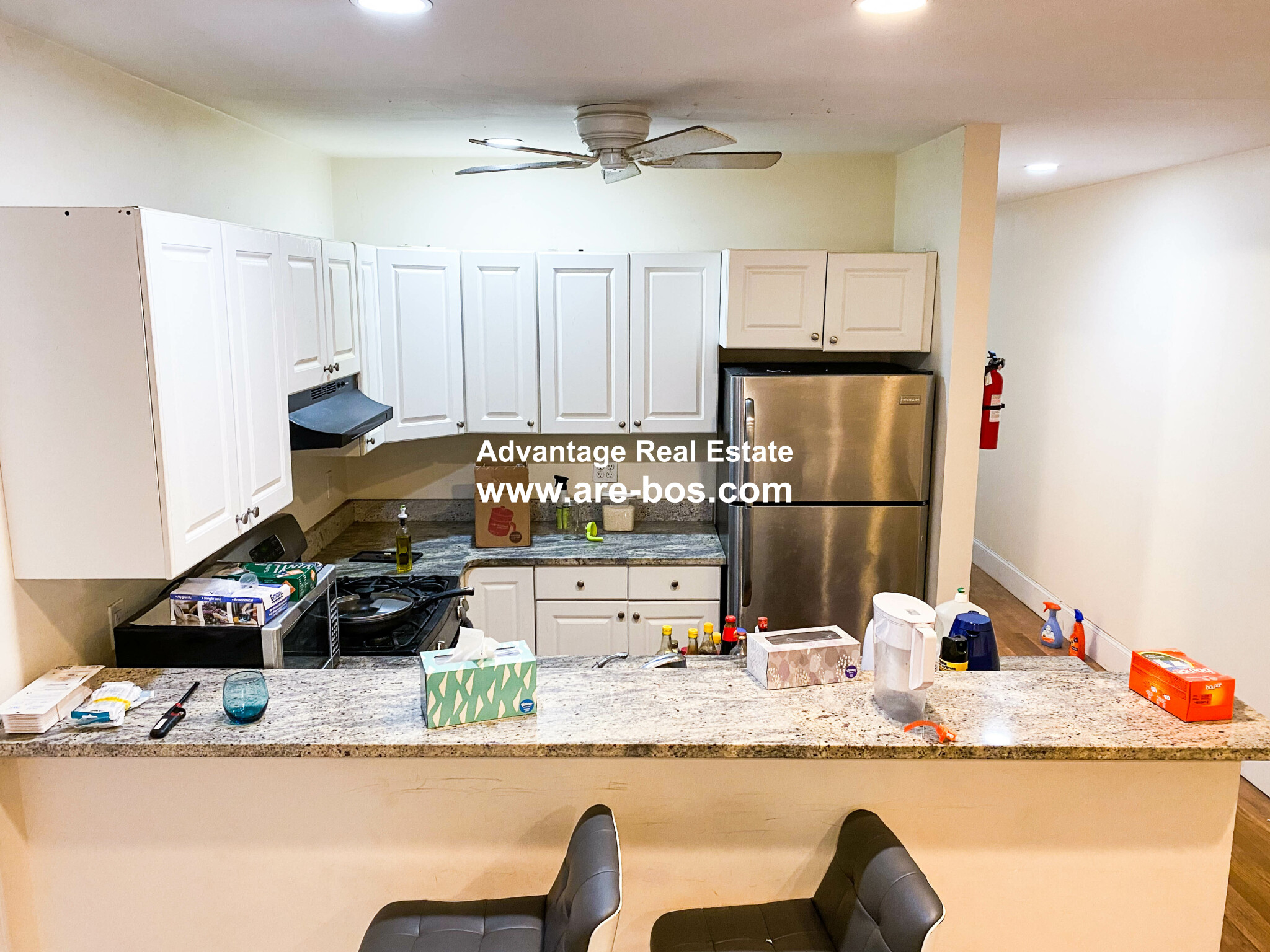 66 Egmont St, North Brookline