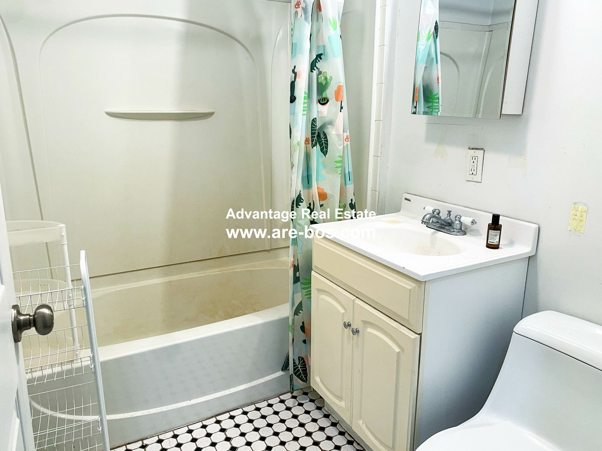 66 Egmont St, North Brookline