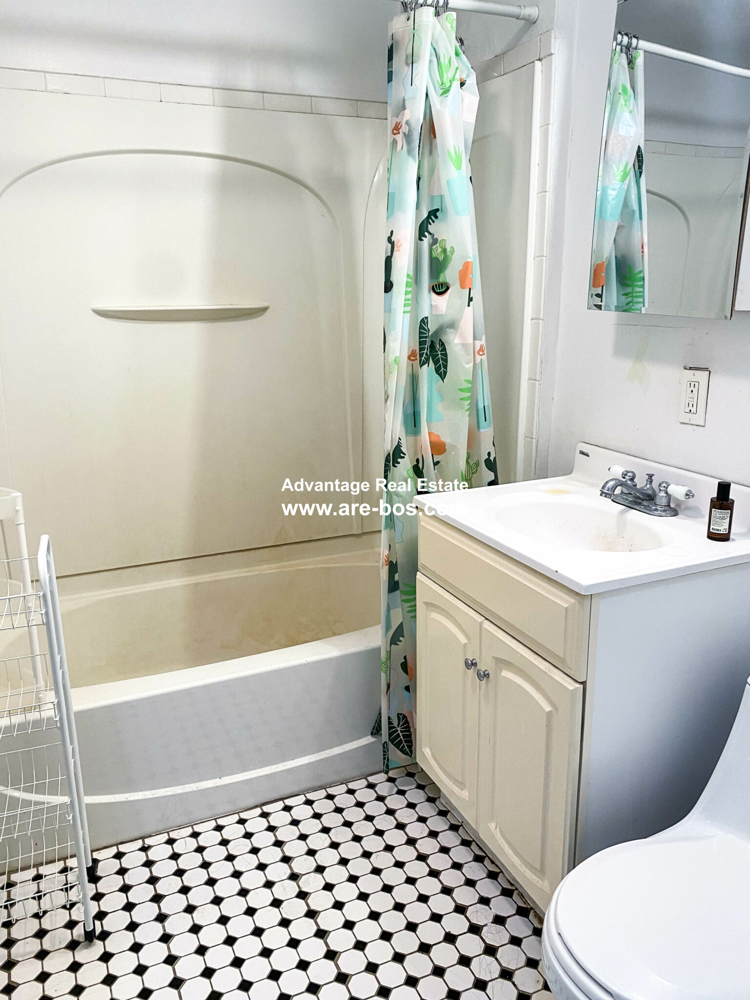 66 Egmont St, North Brookline