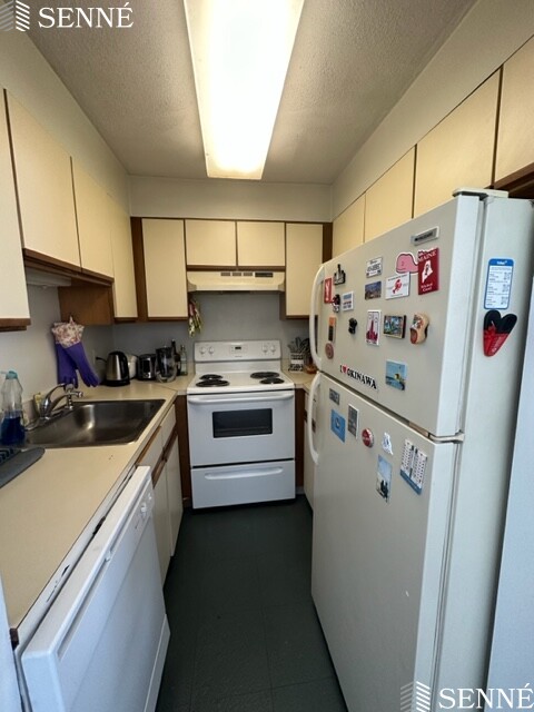 2 bed, 1 bath apartment for rent at 483 East Broadway Unit 7, South Boston — photo 10 of 24