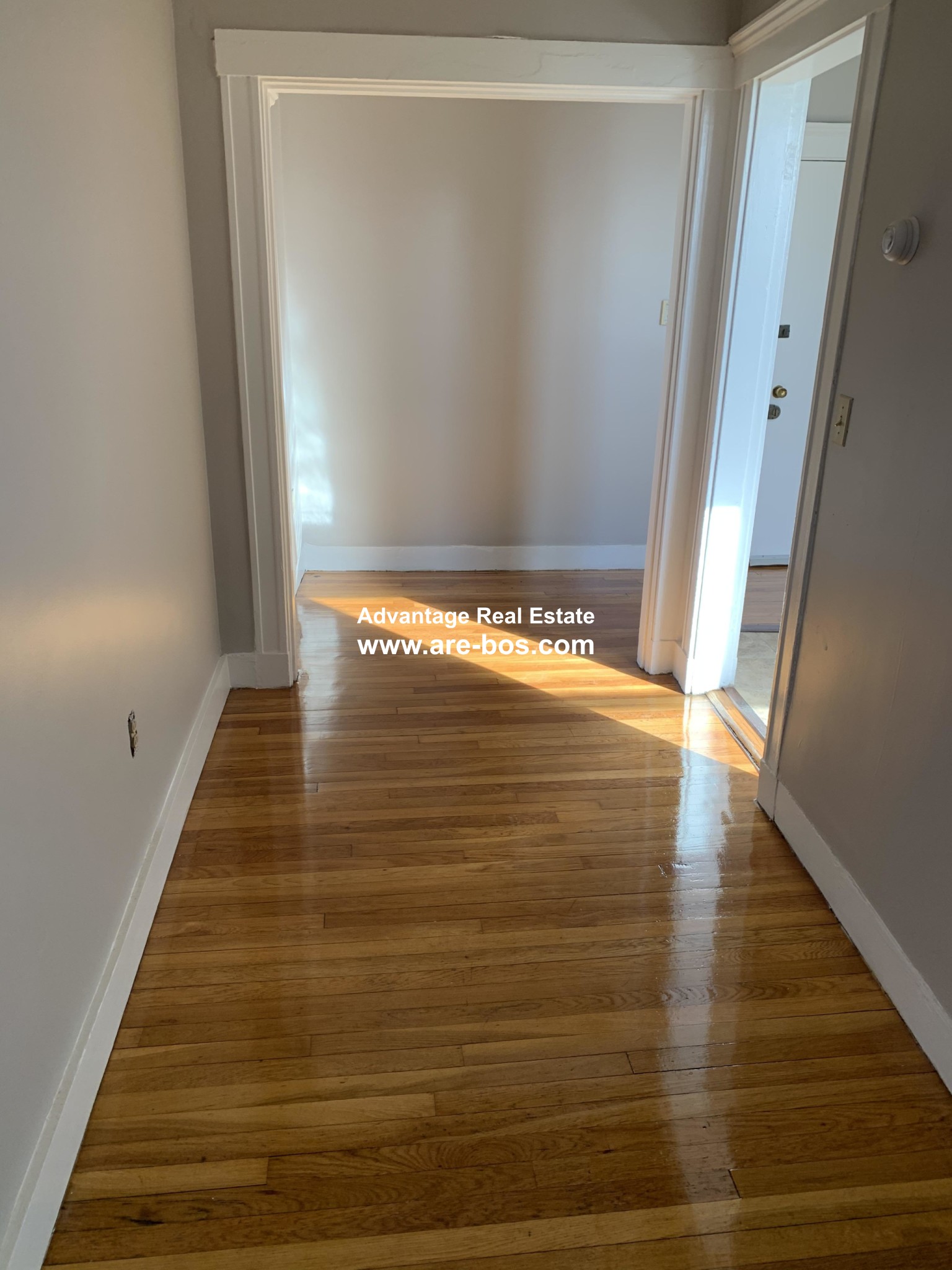 2 split bed, 1 bath apartment for rent at 24 Ransom Unit 30, Brighton — photo 3 of 12