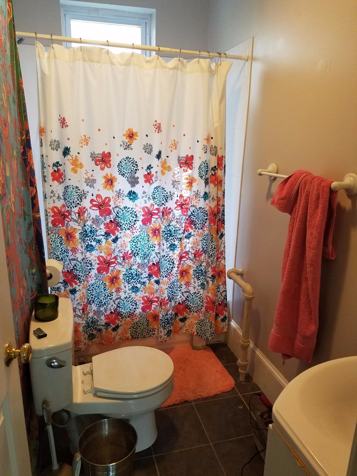 Studio bed, 1 bath apartment for rent at 23 Lanark Rd Unit NA, Brighton — photo 5 of 14