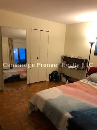 1 bed, 1 bath apartment for rent at 1105 Massachusetts Ave Unit 11D, Harvard Square — photo 4 of 10