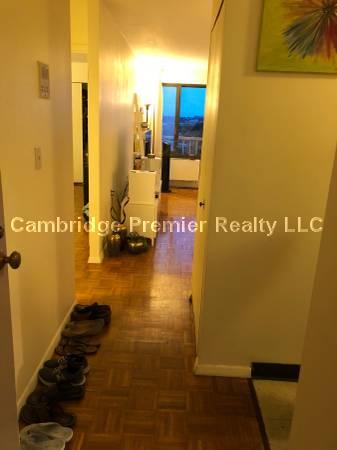 1 bed, 1 bath apartment for rent at 1105 Massachusetts Ave Unit 11D, Harvard Square — photo 5 of 10