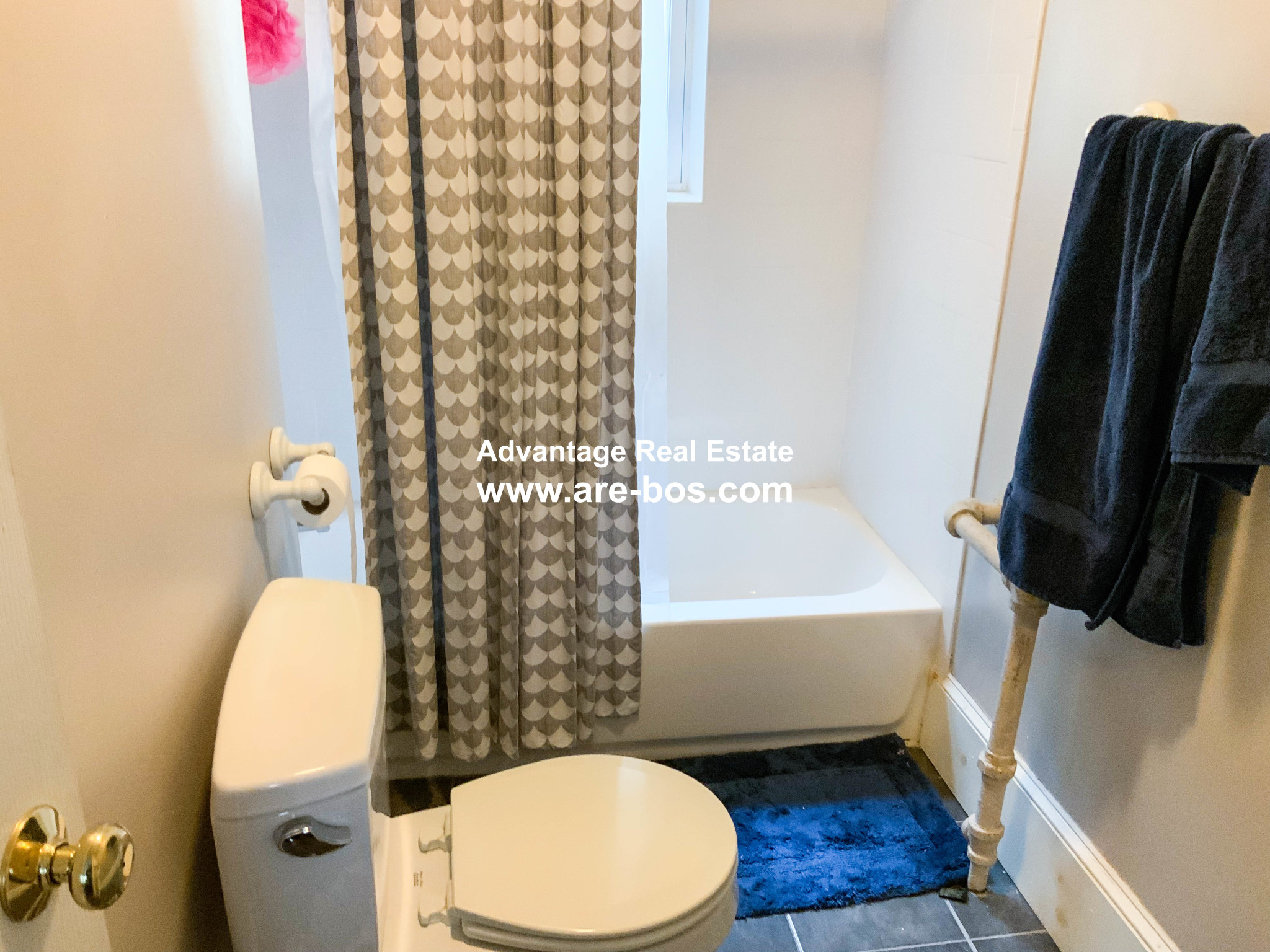 Studio bed, 1 bath apartment for rent at 23 Lanark Rd Unit NA, Brighton — photo 8 of 14