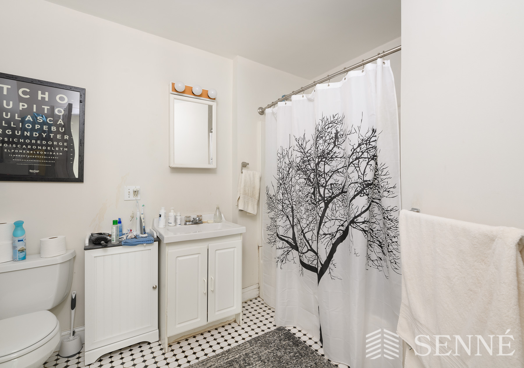 2 bed, 1 bath apartment for rent at 254 Somerville Ave Unit 3A, Union Square — photo 6 of 10