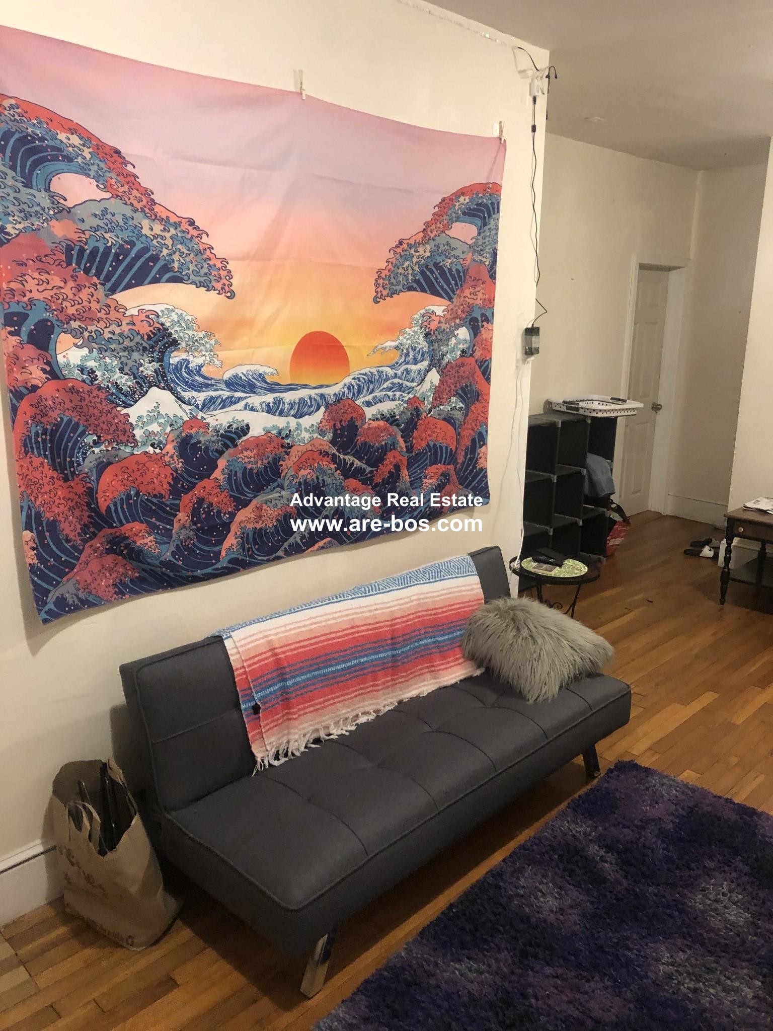 66 Egmont St, North Brookline