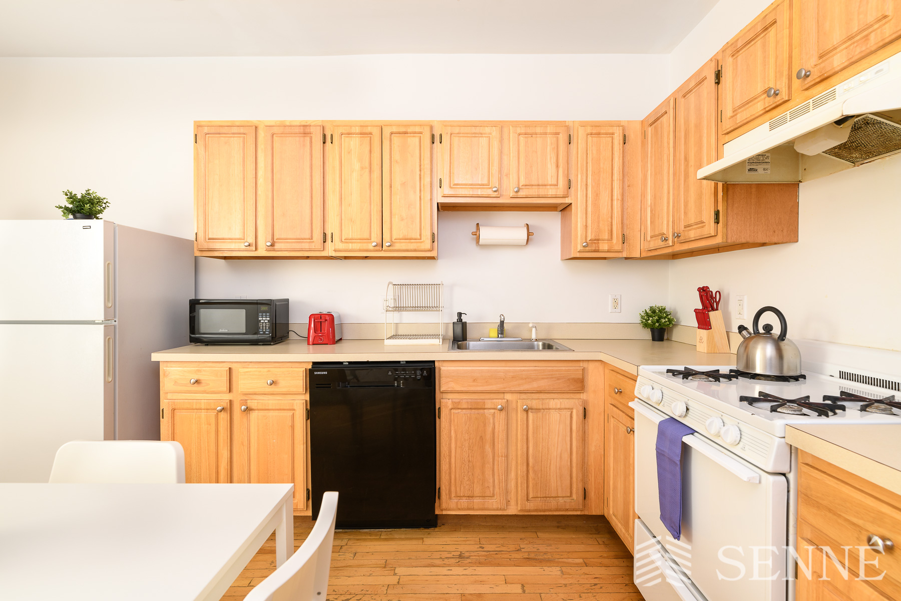 2 bed, 1 bath apartment for rent at 250 Somerville Ave Unit 1R, Union Square — photo 7 of 14