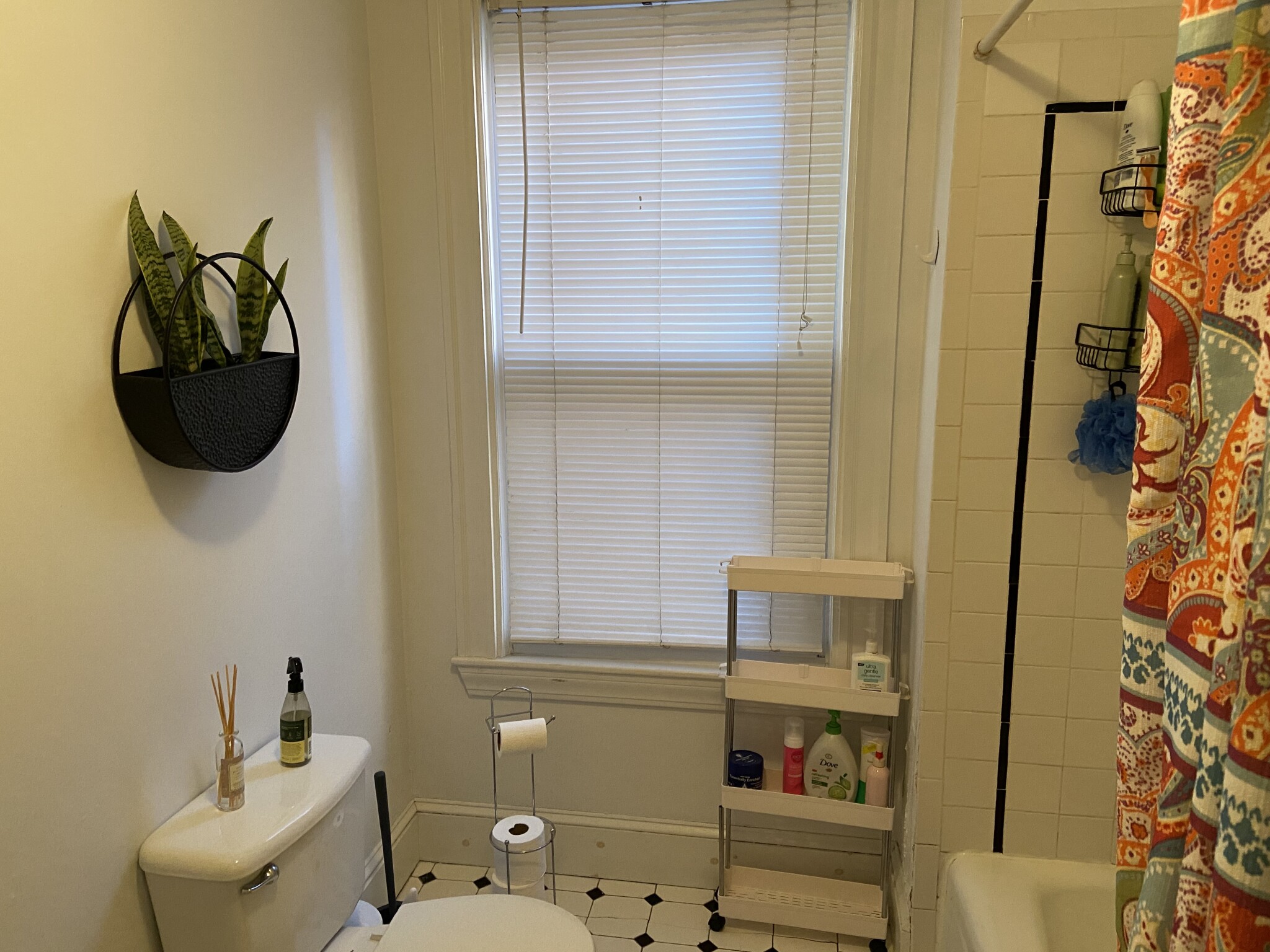 4 bed, 1 bath apartment for rent at 197 Green Unit 3, Central Square — photo 14 of 19