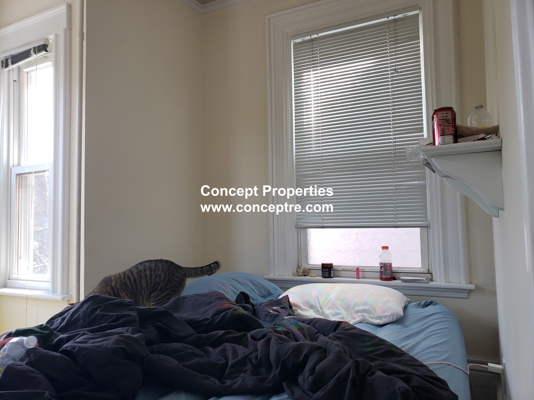 5 bed, 2 bath apartment for rent at 126 Saratoga St Unit 2A, East Boston — photo 9 of 39