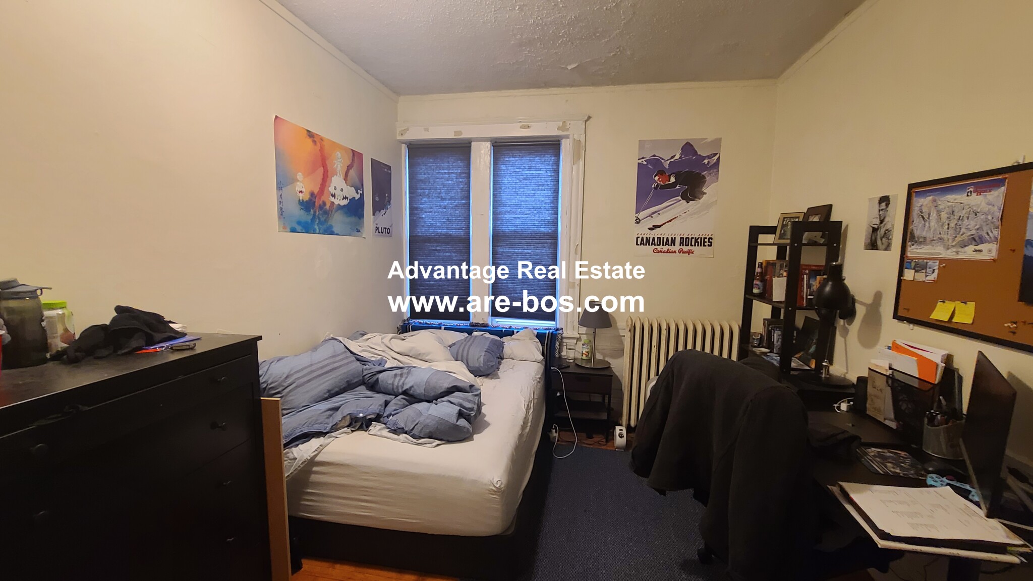 60 Egmont St, North Brookline