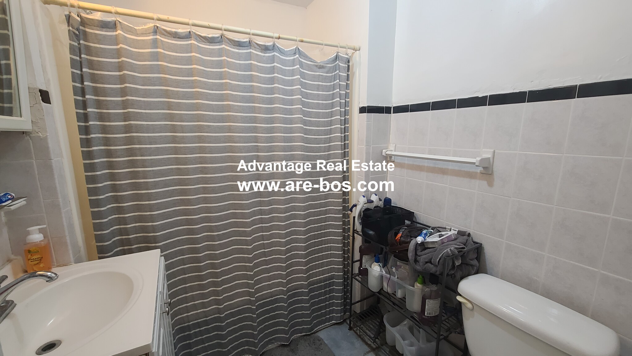 60 Egmont St, North Brookline