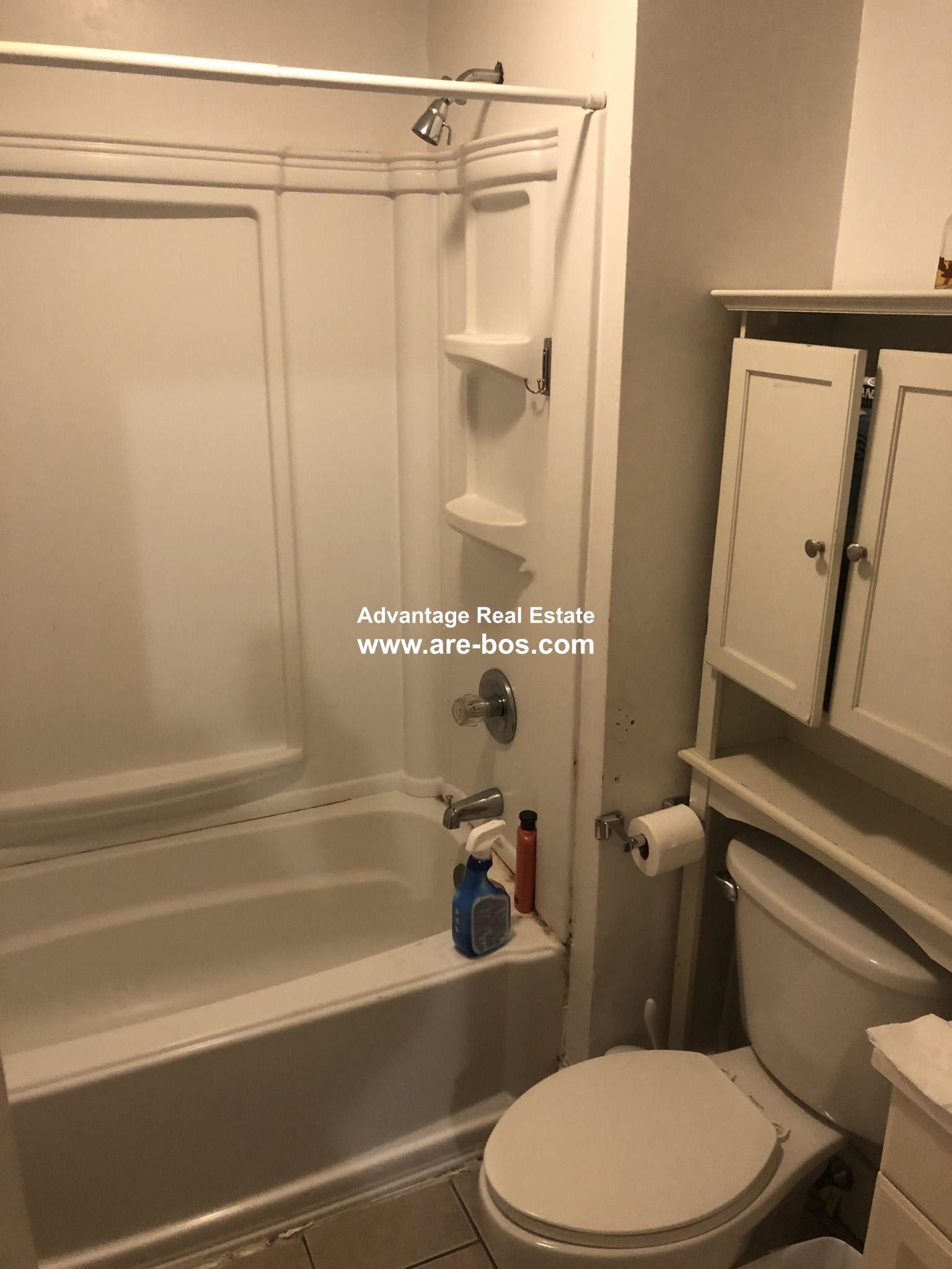 66 Egmont St, North Brookline