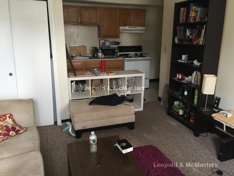 1 bed, 1 bath apartment for rent at 36 South Huntington Ave Unit 11, Jamaica Plain — photo 7 of 20