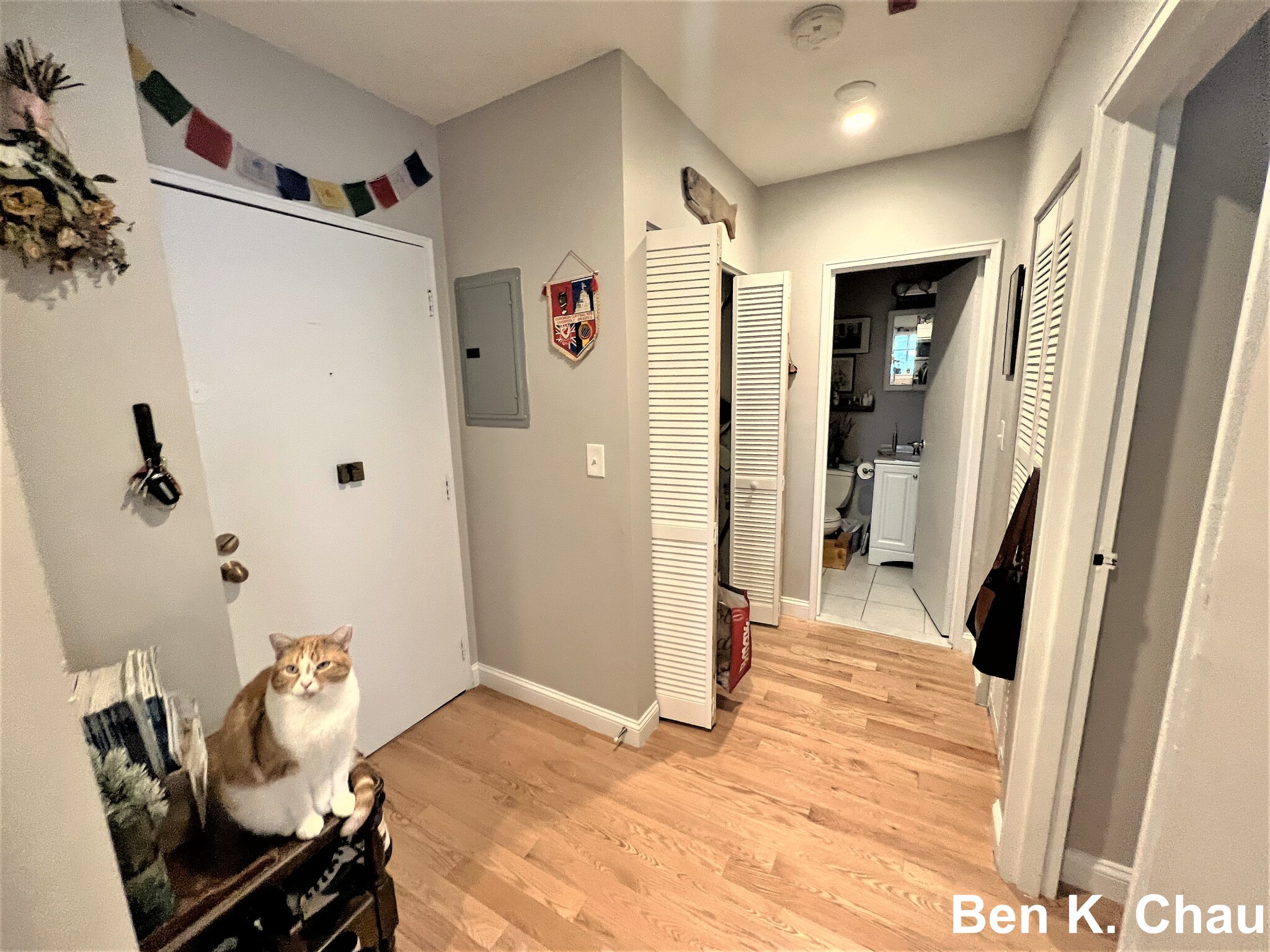 1 bed, 1 bath apartment for rent at 116 Tremont St Unit 108B, Brighton — photo 9 of 16